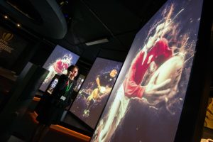 Rugby Hall of Fame Screens by Pro Display