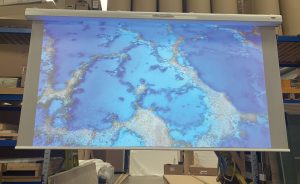 Dual Image Electric Projection Screen