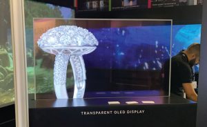 Transparent OLED Display Screen