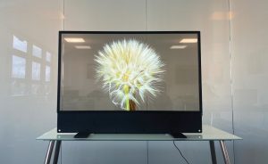 transparent oled screen retail