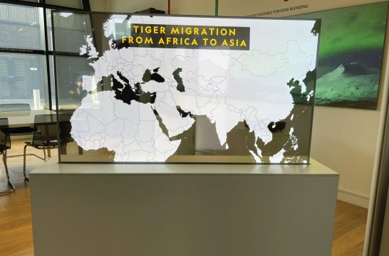 Transparent Screens 15 freestanding transparent oled