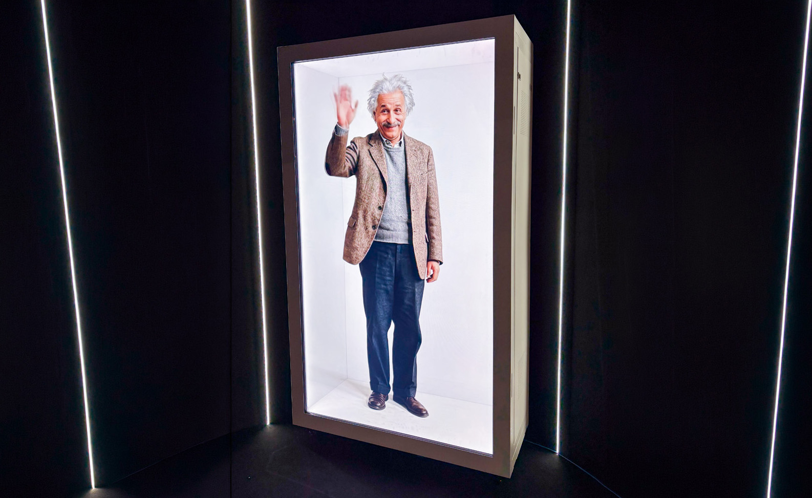 86 TLCD Display Case - Einstein