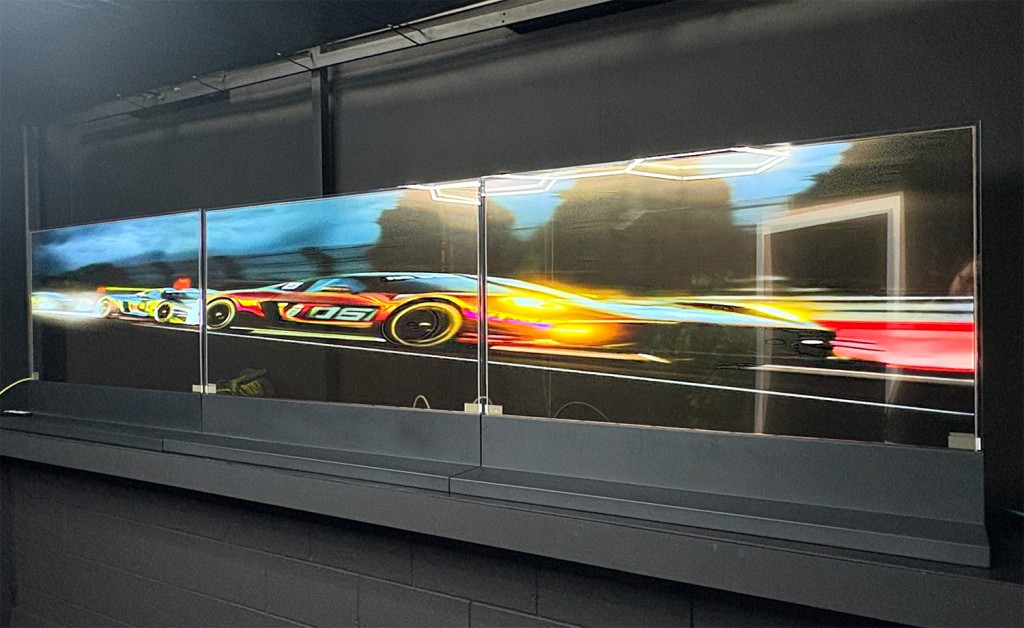 Free-Standing Transparent OLED
