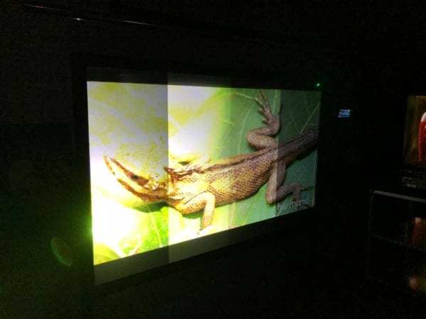 Digital Projection demonstrating Pro Display screens at Experience Centre Dubai