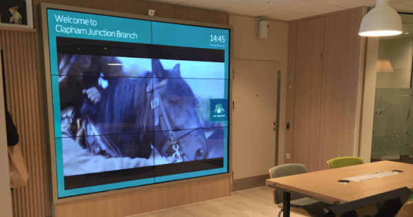 large video display