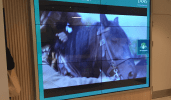 video walls